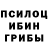 Псилоцибиновые грибы мухоморы Ruslan Korenyuk